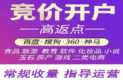 托管竞价sem案例分享：某电商平台的成功之路
