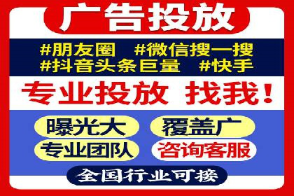 解析某某SEM服务公司的广告投放策略与效果评估